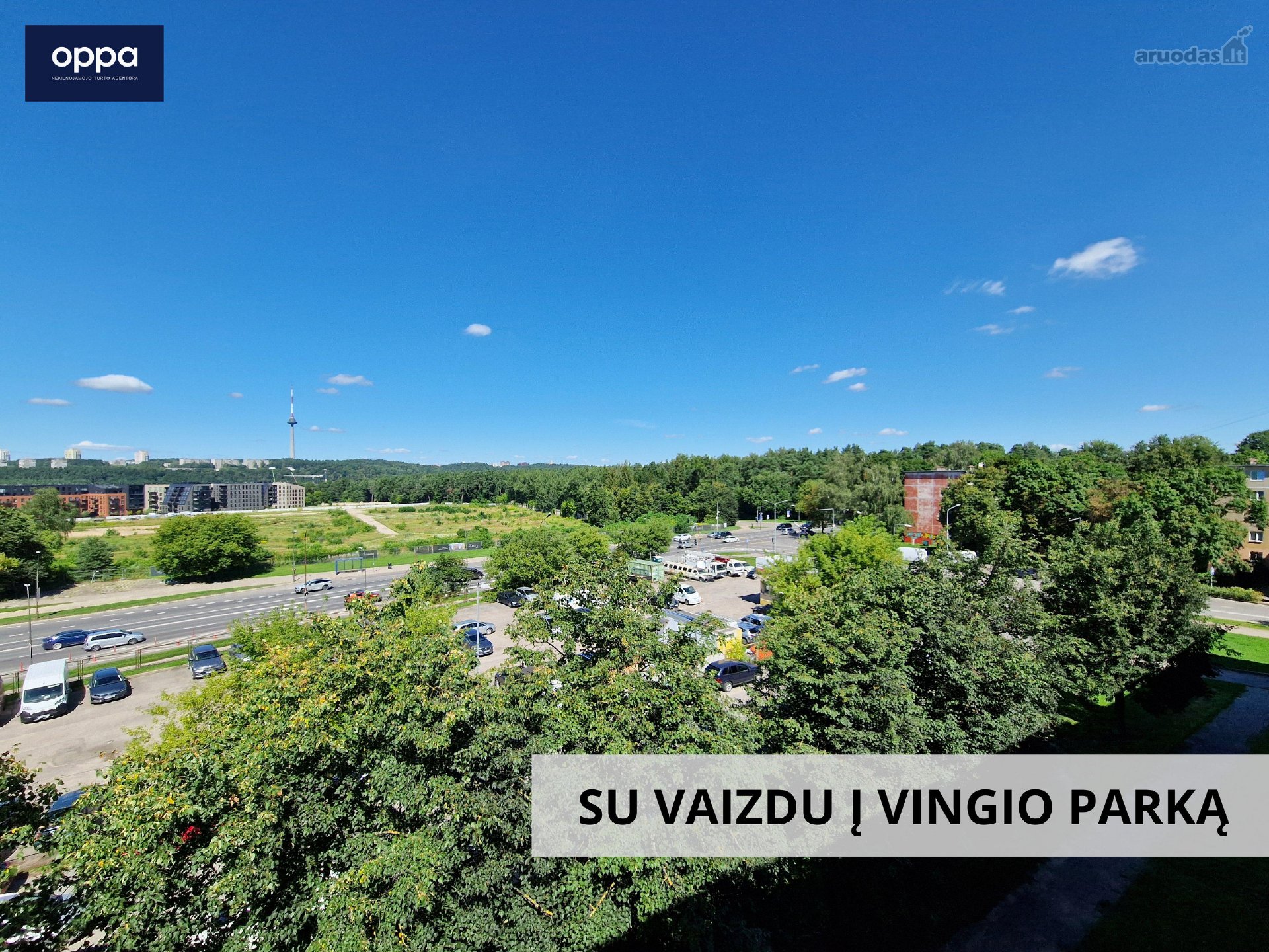 Jaukus 1 Kambario Butas Su Vaizdu Į Vingio