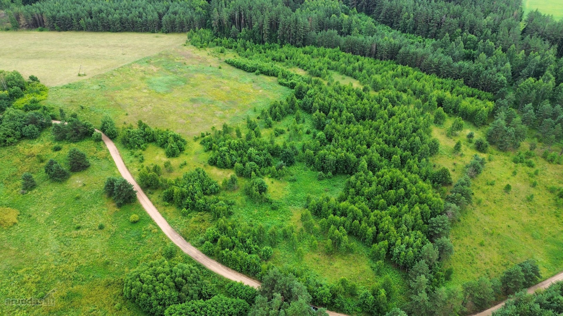 Parduodamas erdvus 3,64 ha sklypas šalia
