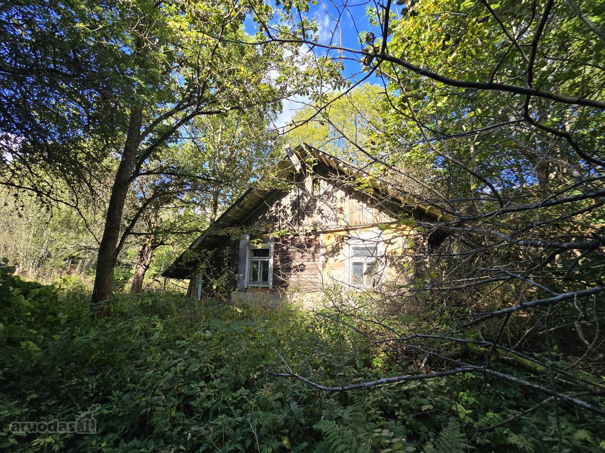 Norintiems Įsikurti Laukinėje Gamtoje