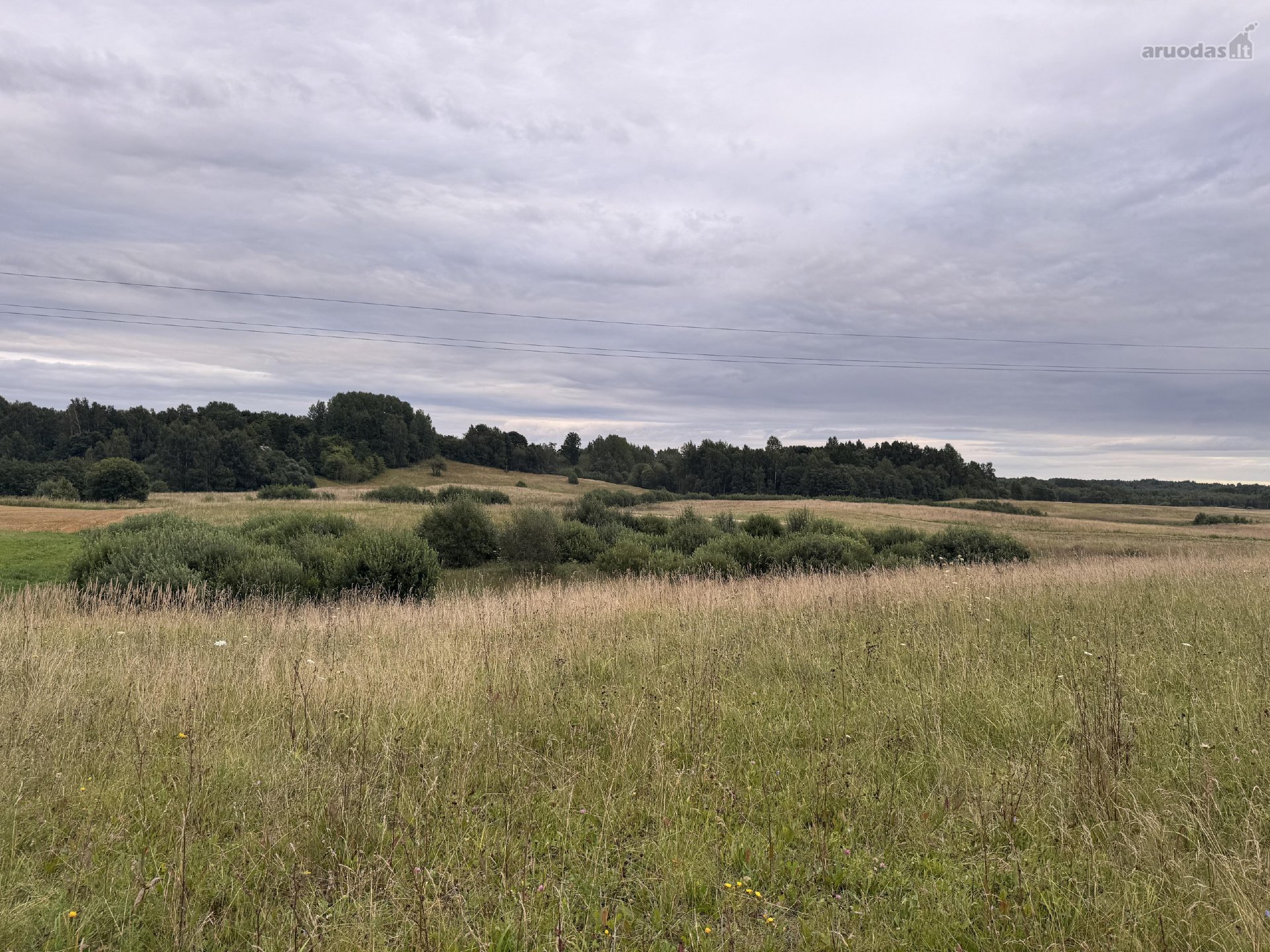 Molėtų r. sav., Šiaudžių k.