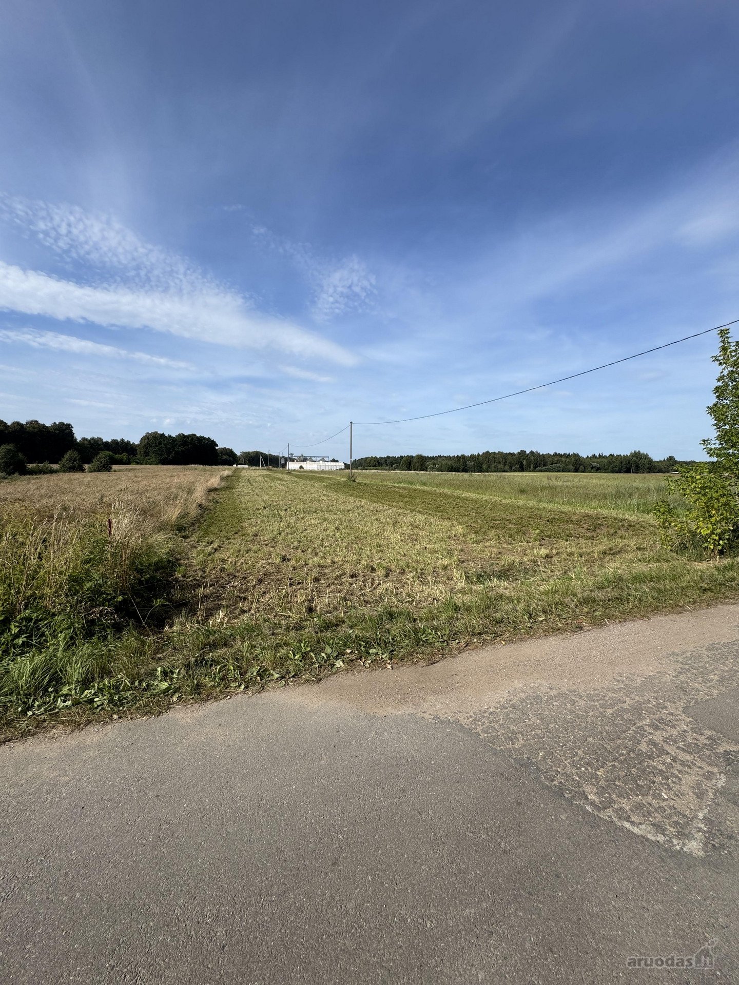 Širvintų r. sav., Kielių k.