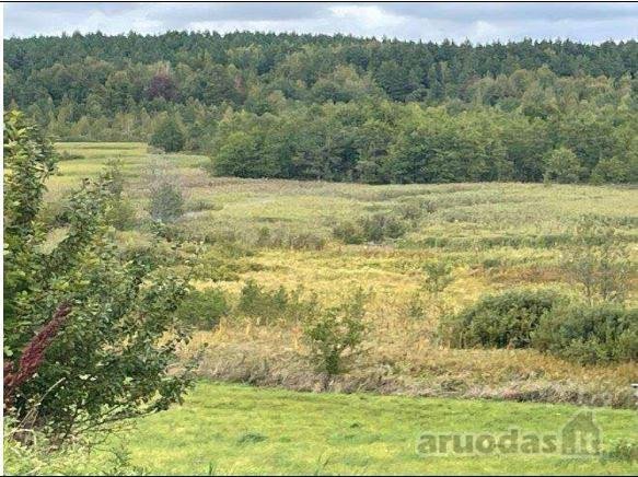 Parduodamas 4,63 ha žemės ūkio paskirties