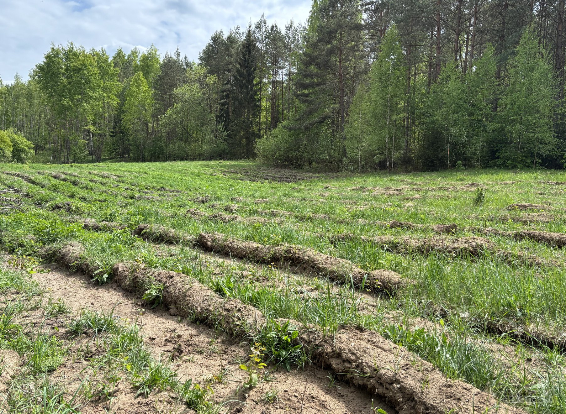 Parduodmas žemės sklypas Purvelių kaime.