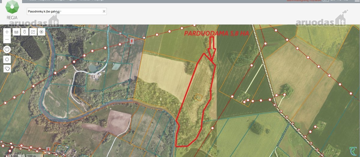 Upės pakrantė, Gelvonų sen. parduodamas 5,80