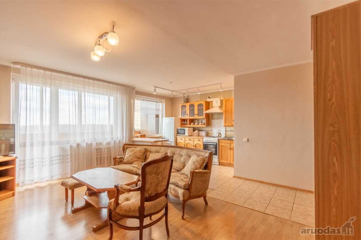 Šalia parko nuomojamas tvarkingas 1 kambario