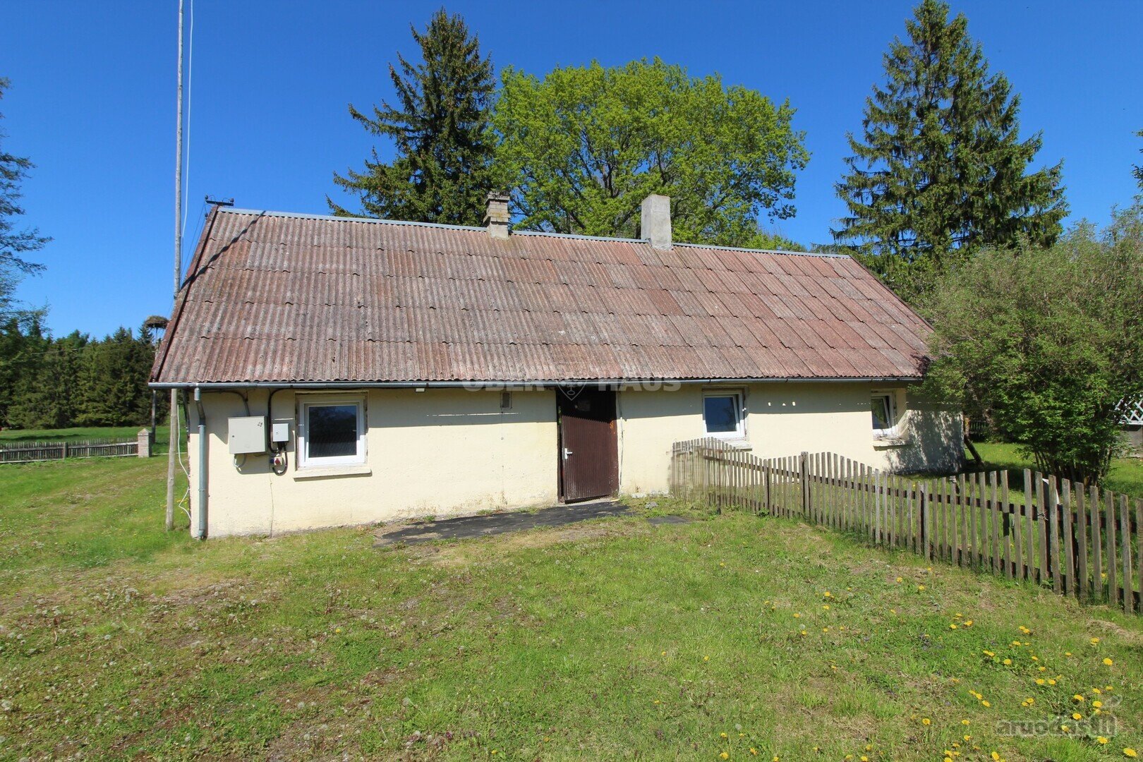 Išskirtinė Vieta Medžių Apsuptyje, 450 m Iki