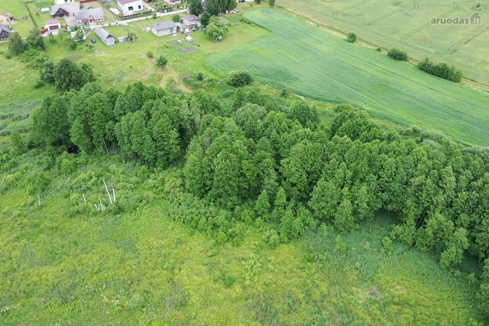 Parduodamas 51,34 a (0,5134 ha) žemės ūkio