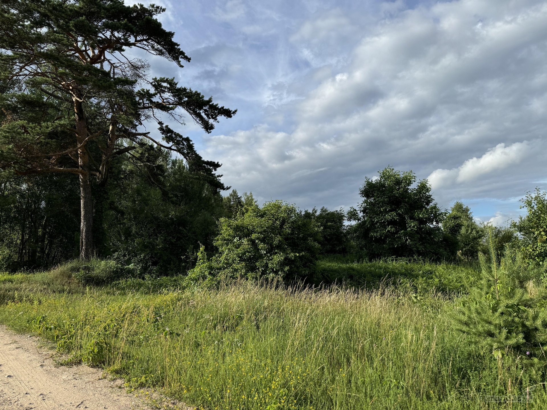 Parduodamas 68,38 a (0,6838 ha) žemės ūkio