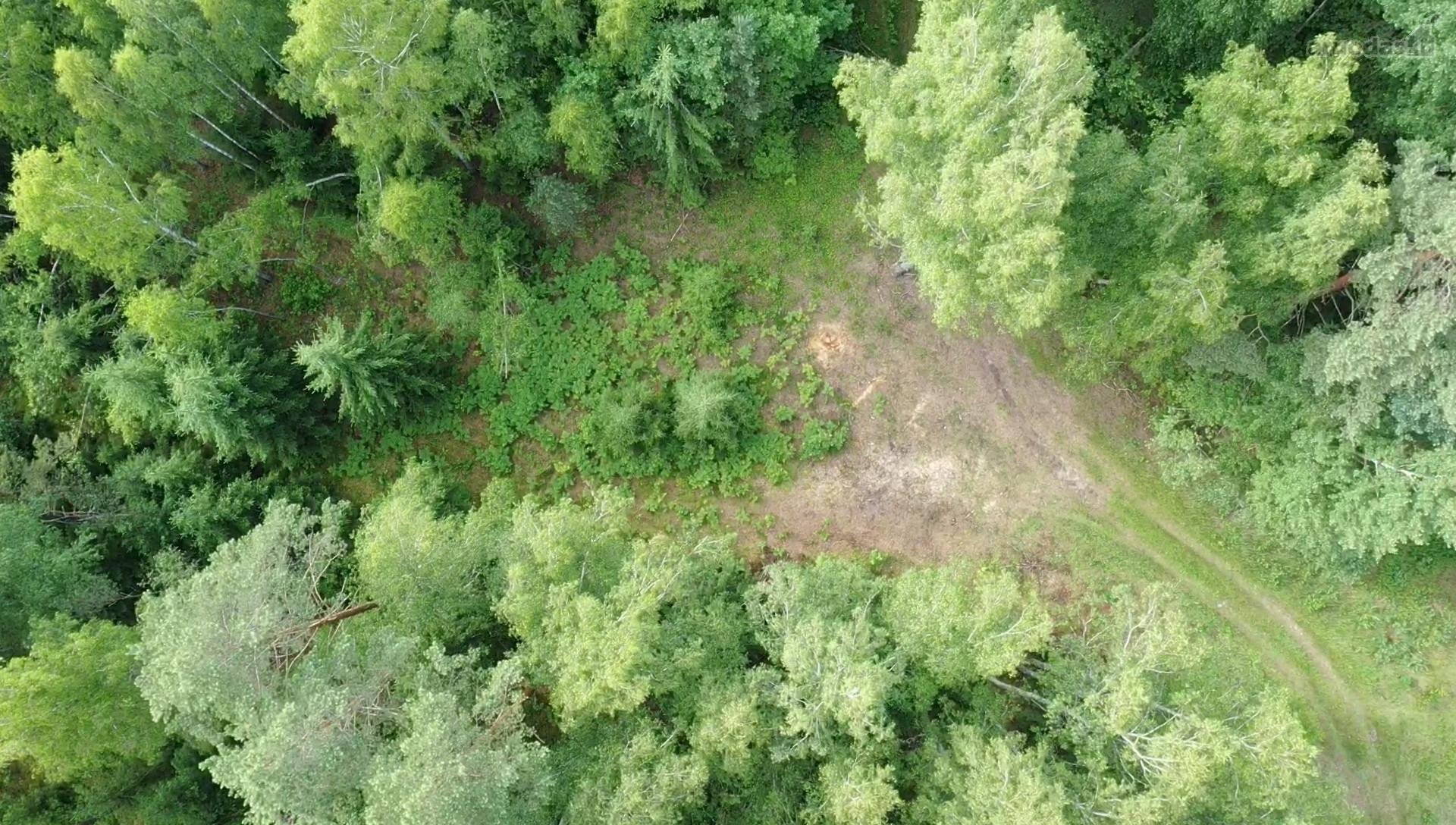 Parduodamas 33,39 a (0,3339 ha) žemės ūkio