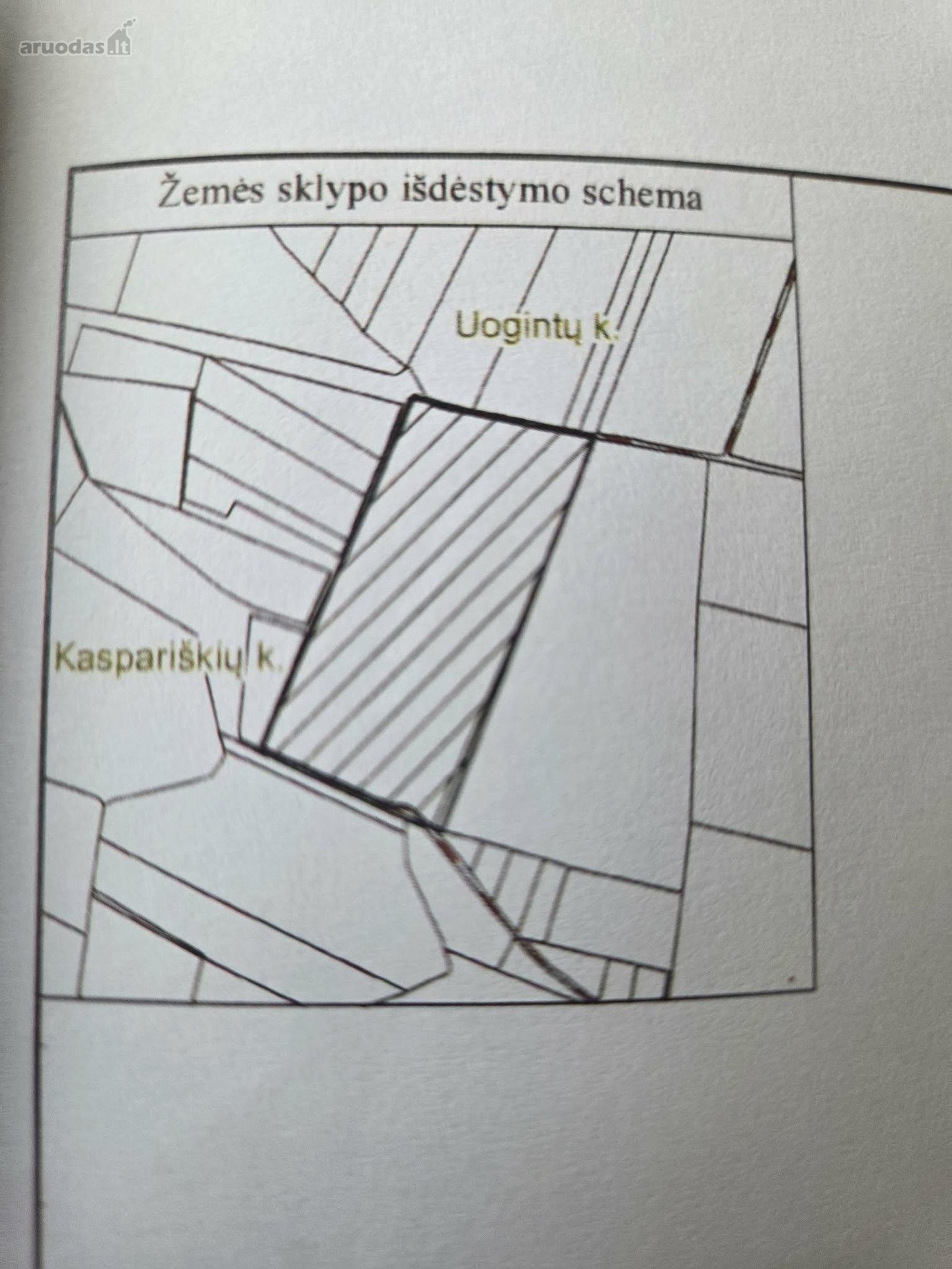 Parduodamas 12 ha žemės ūkio paskirties