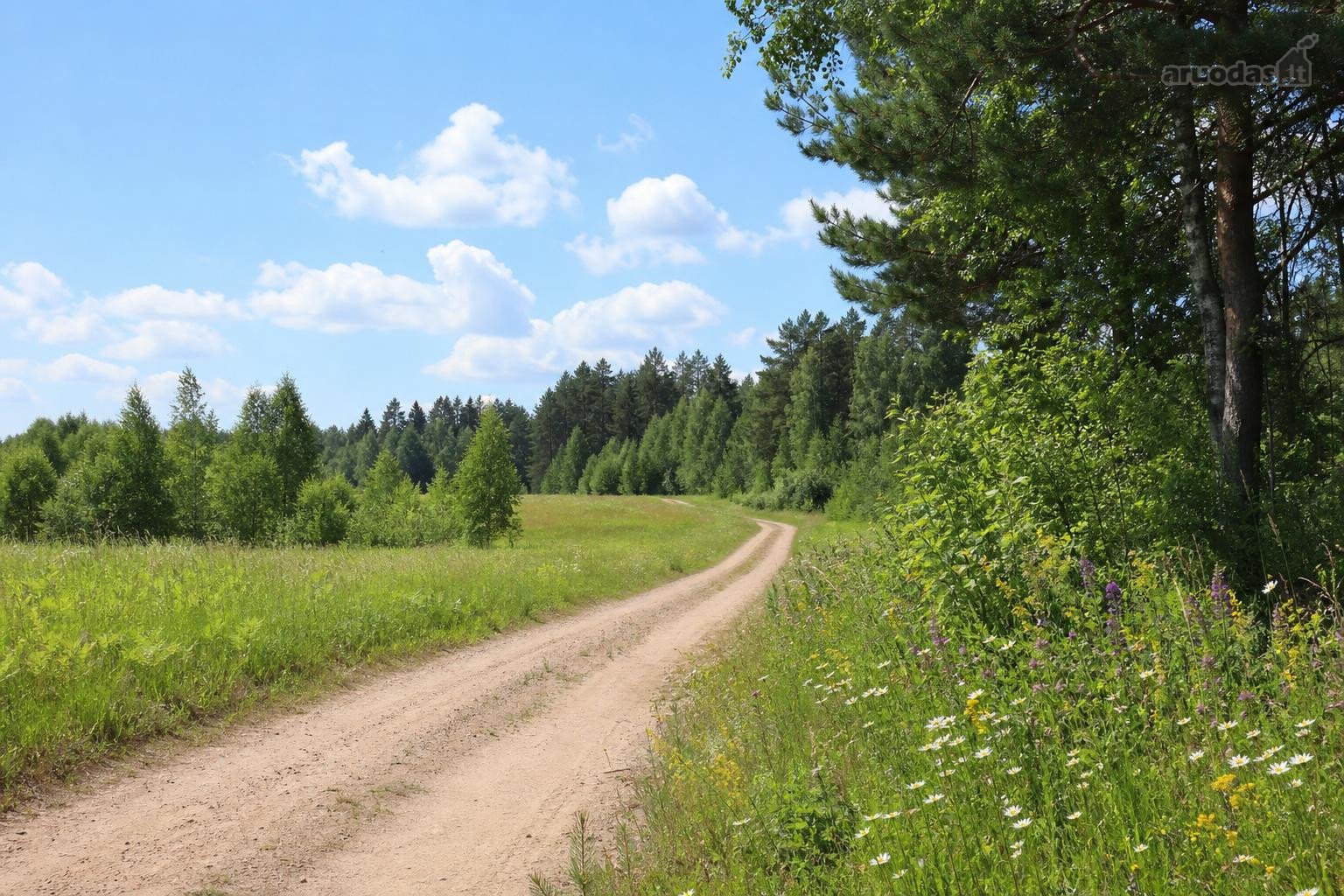 Varėnos rajone, Dzūkijos miškų apsuptyje,