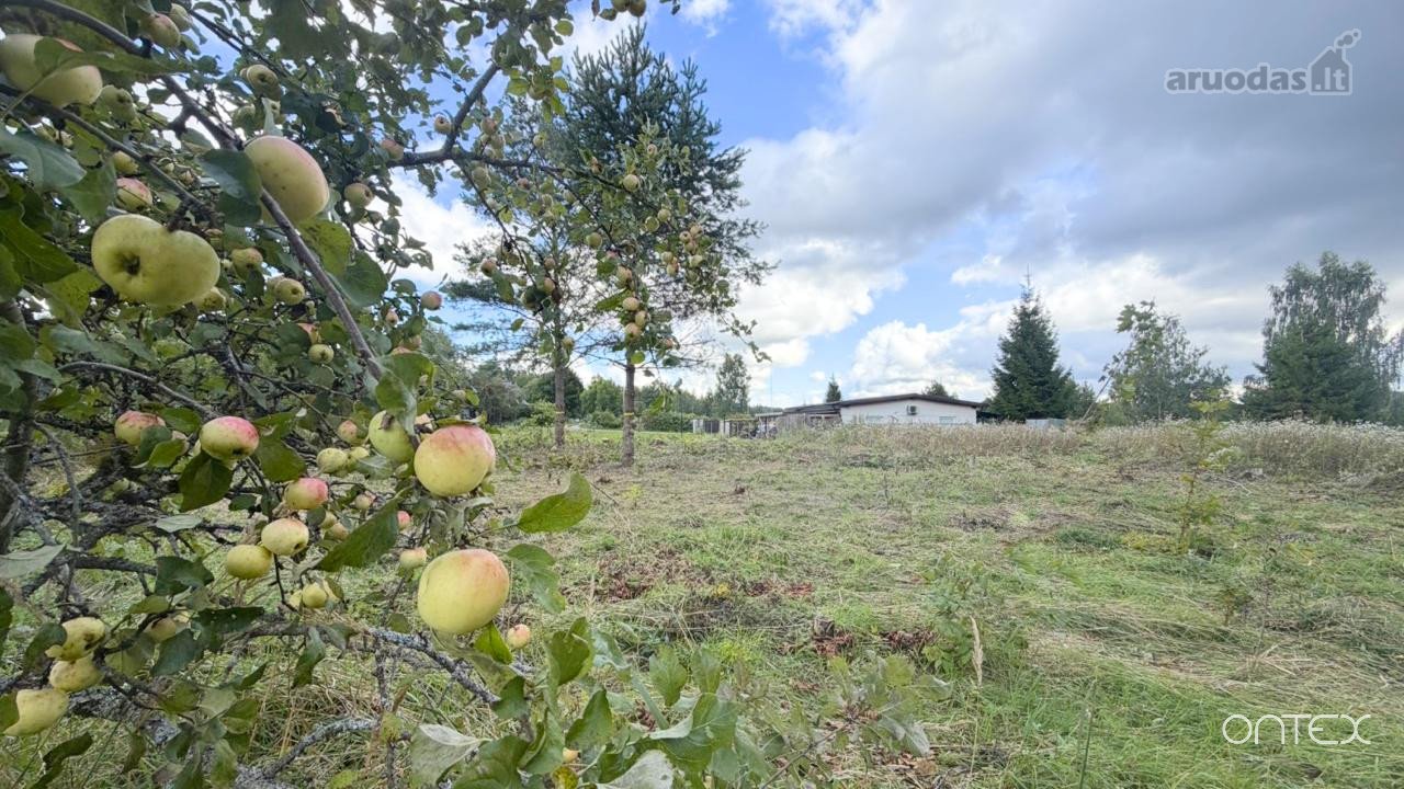 Sodo Sklypas Akmeniškėse – Gamtos Apsuptyje,