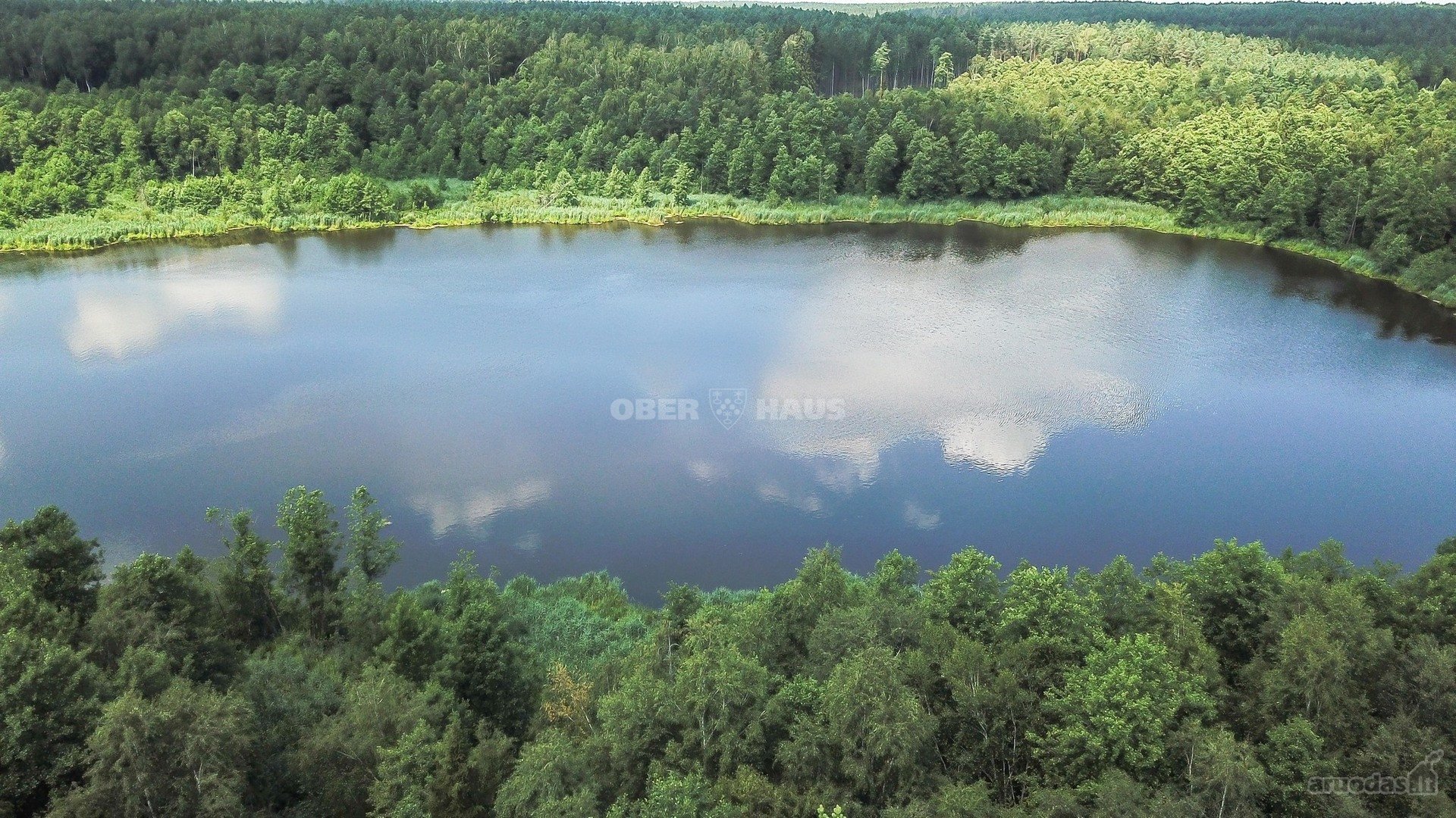 Parduodamas unikalus gamtos kampelis - žemės