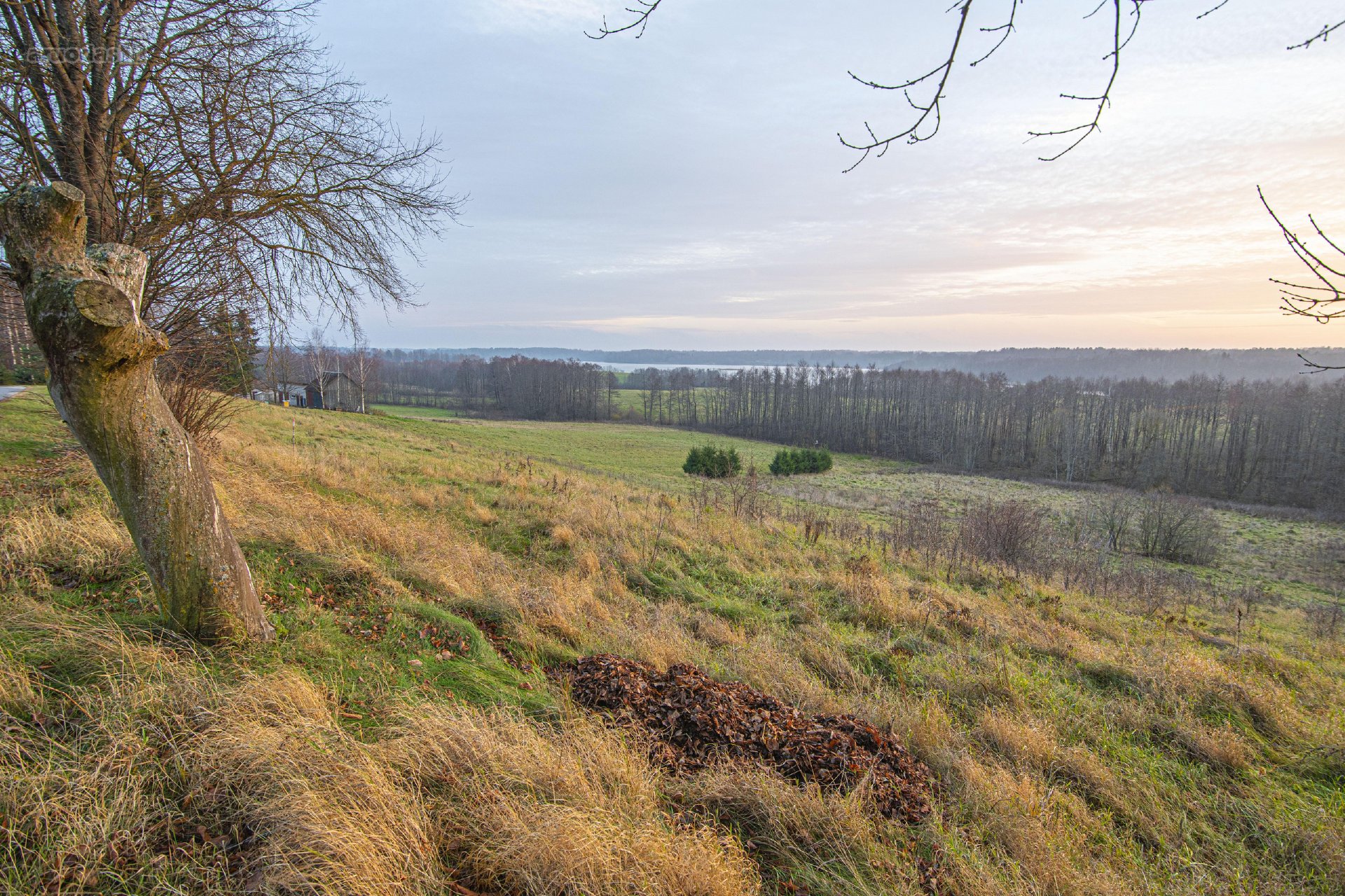 Verbiškių miestelyje, Molėtų rajone,
