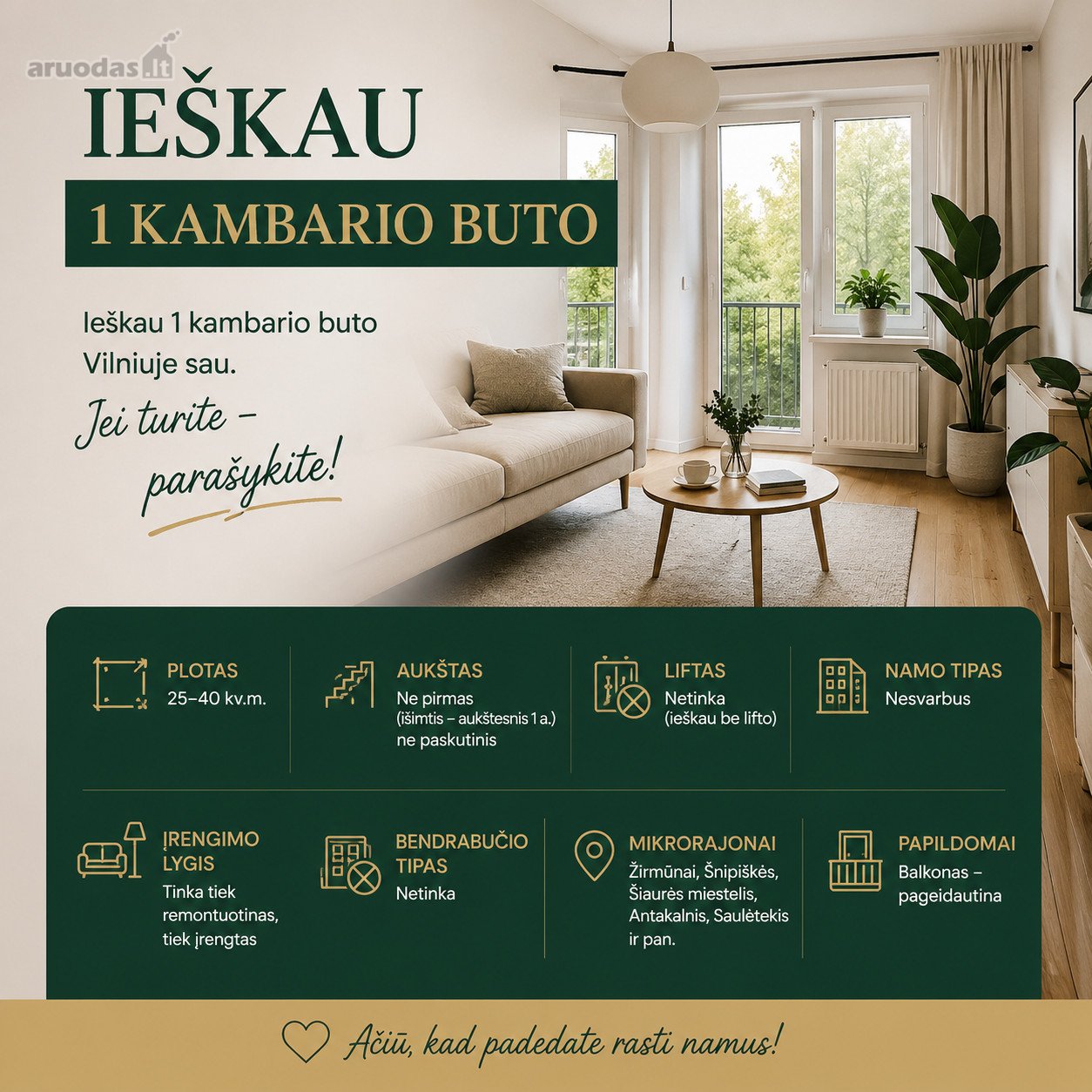 1 kambario buto Plotas: 25–40 m²