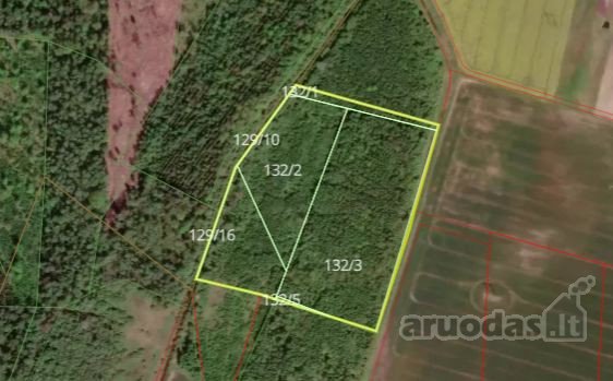 Parduodamas 5,74 ha miškas Jonavos raj.