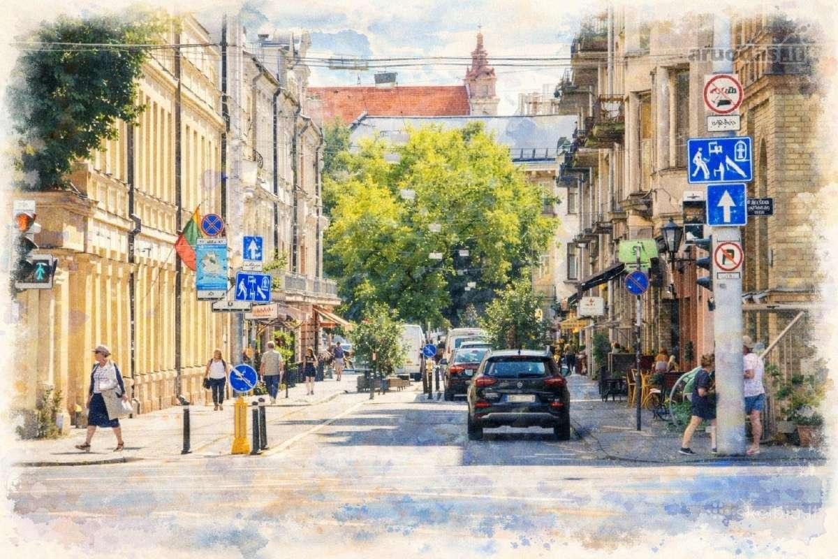 Išnuomojamos pilnai įrengtos maitinimo /