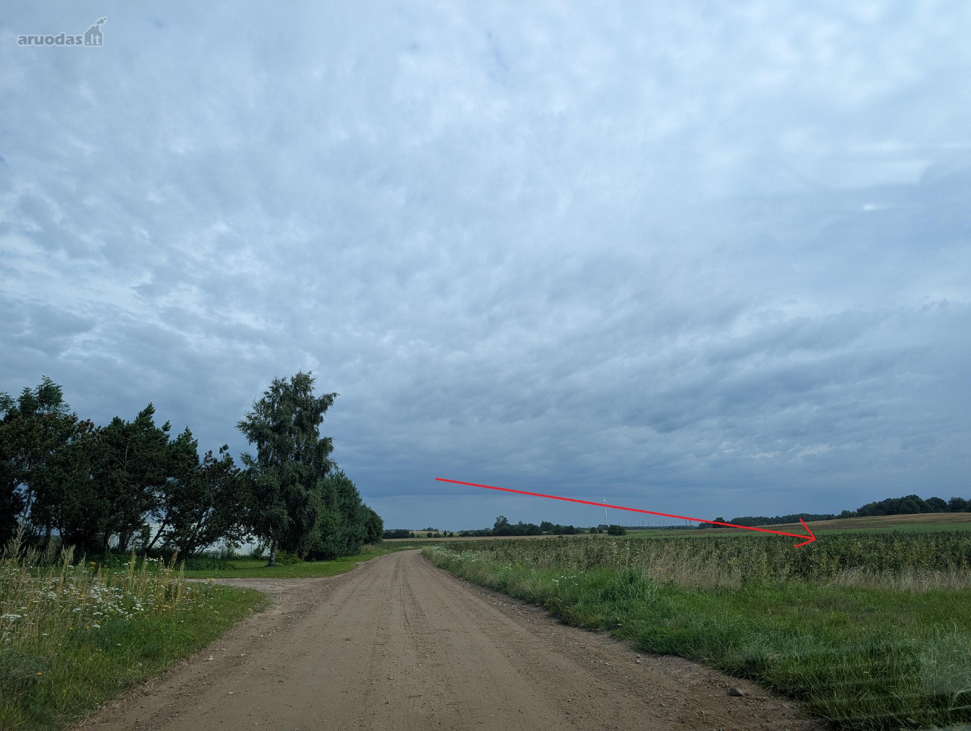 Parduodamas 2,19 ha (219 a) žemės ūkio