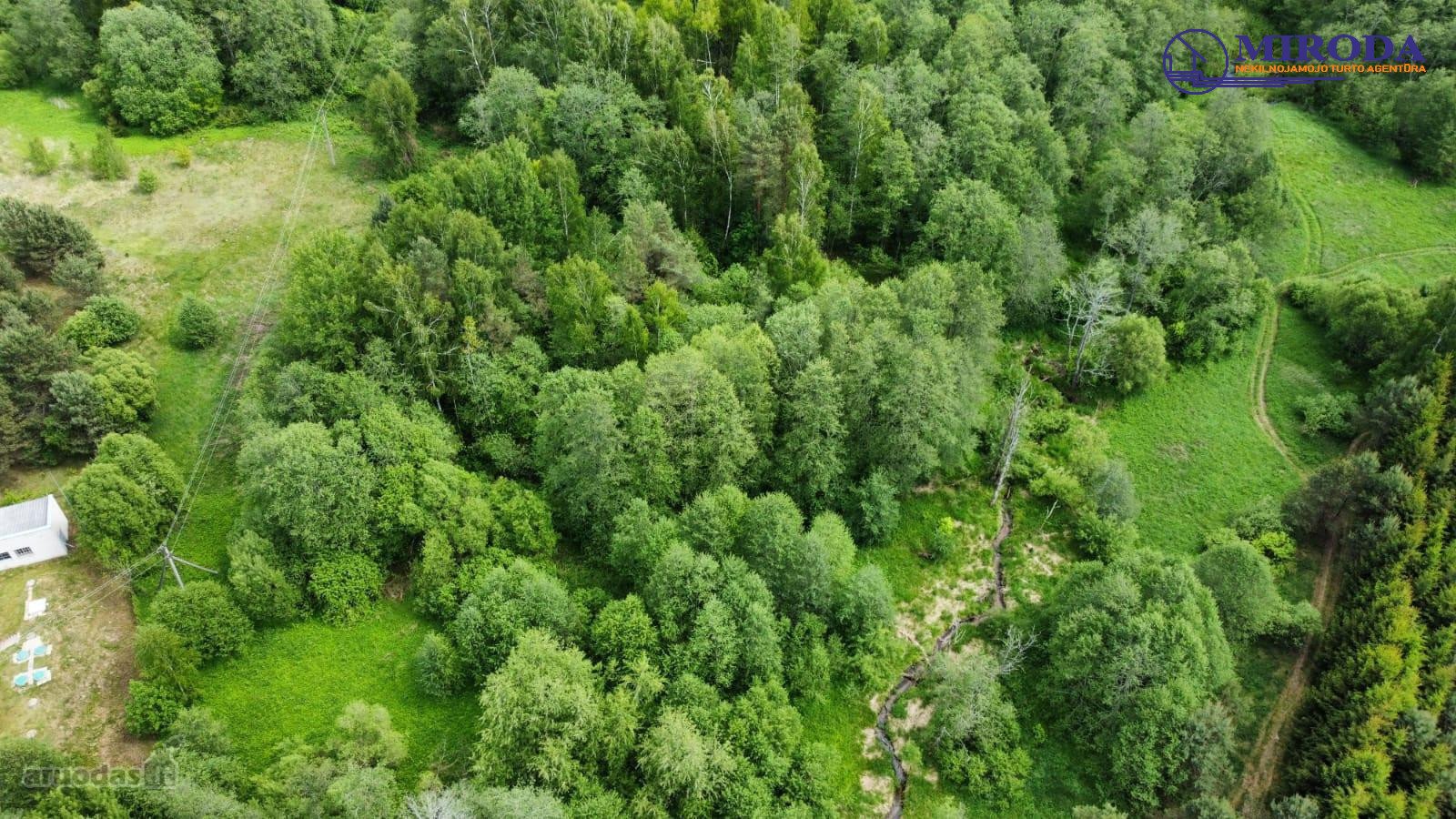 Upelis, miškas, asfaltas, šalia komunikacijos.
