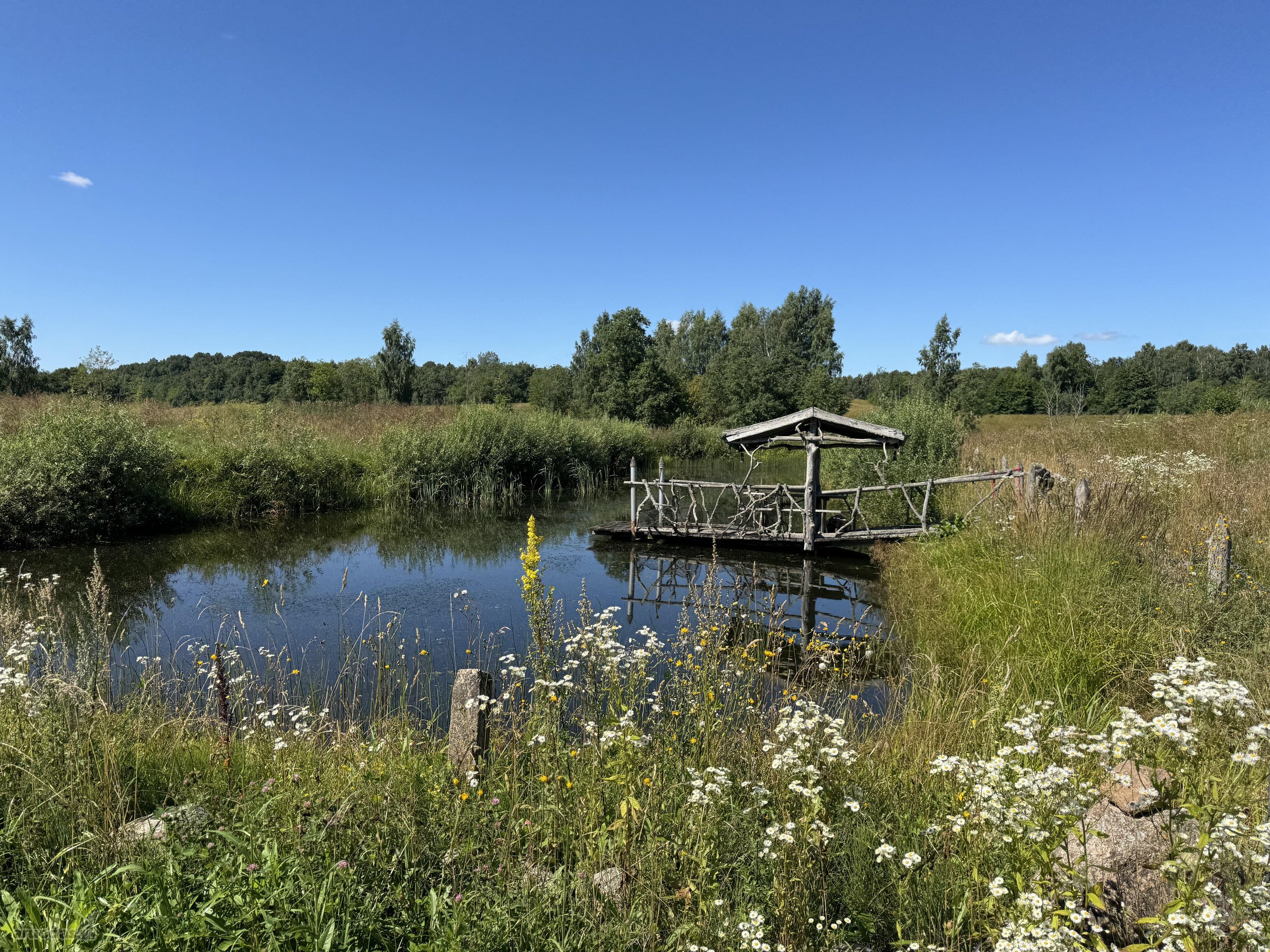 Parduodamas sklypas sodybai, tik 30 min nuo
