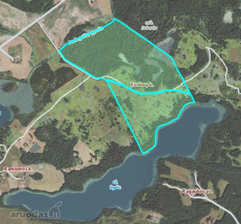 Parduodama vientisa 44,5 ha žemės ir miško