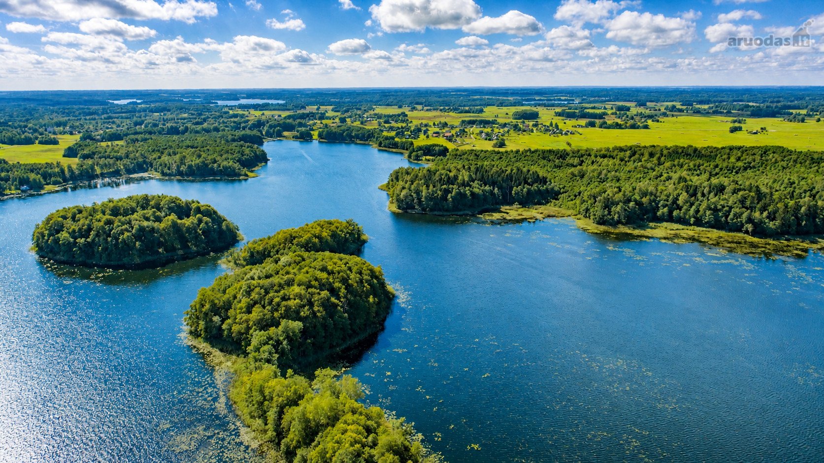 Zarasų r. sav., Knipiškių k.