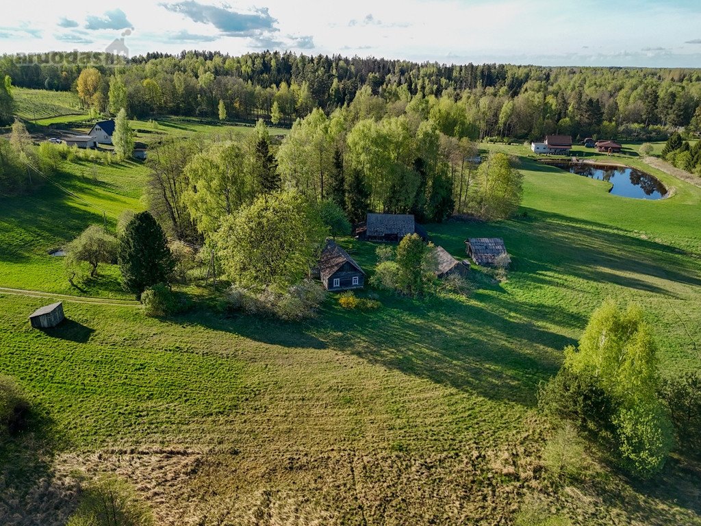 Tik 8 Km Nuo Utenos, 3 Ha Sklype, Antalgės