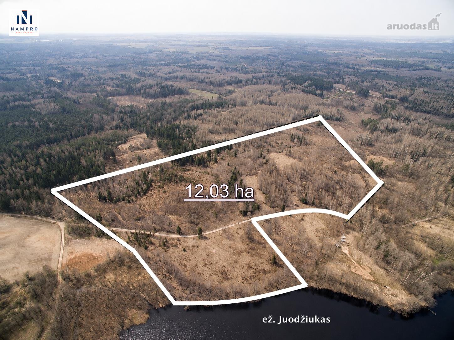 Parduodamas 12,88 ha (6,87 ha miškas) sklypas