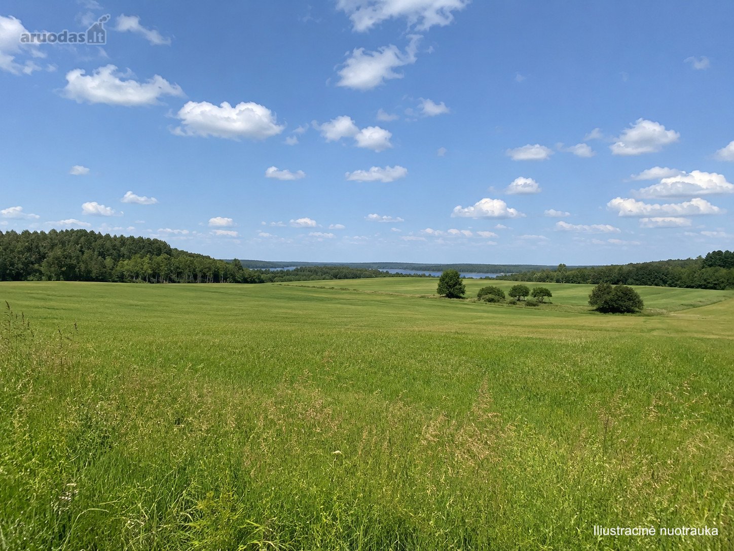 Parduodamas erdvus 5,44 ha žemės ūkio