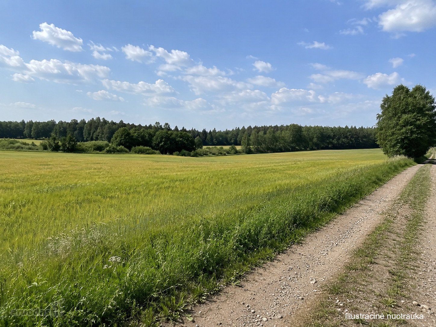 Šalčininkų r. sav., Kudlių kaime, parduodami