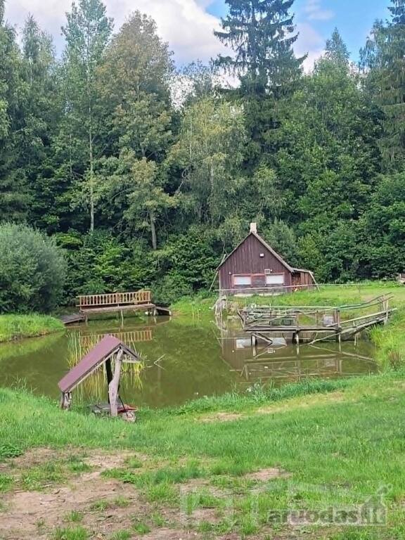 Parduodamas miško apsuptyje erdvus sklypas su