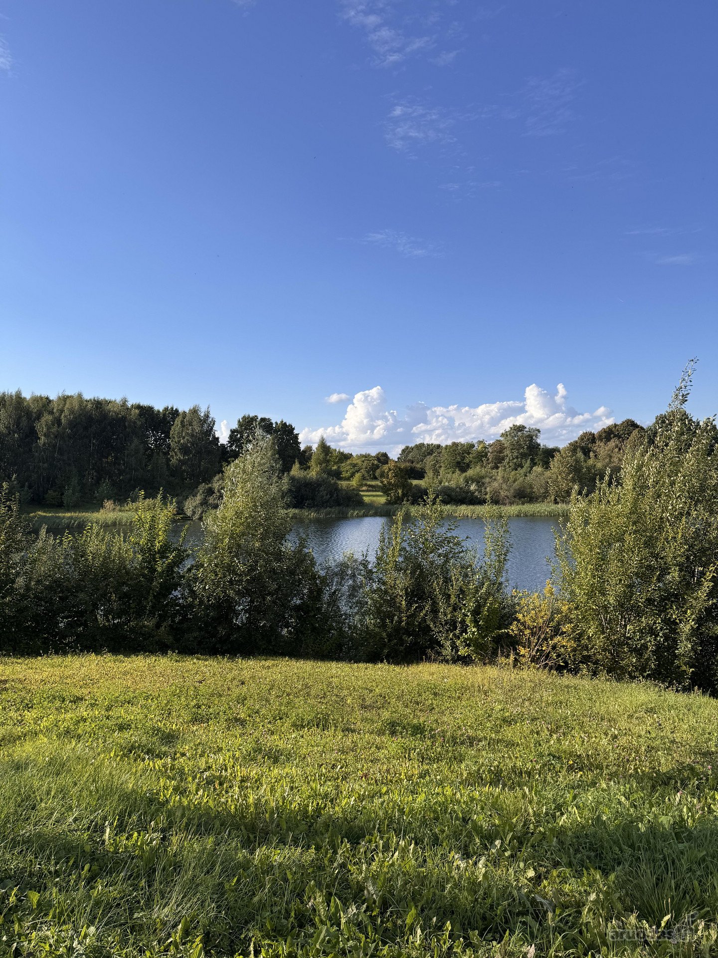 Namų valdos sklypas ant Graužės tvenkinio kranto.