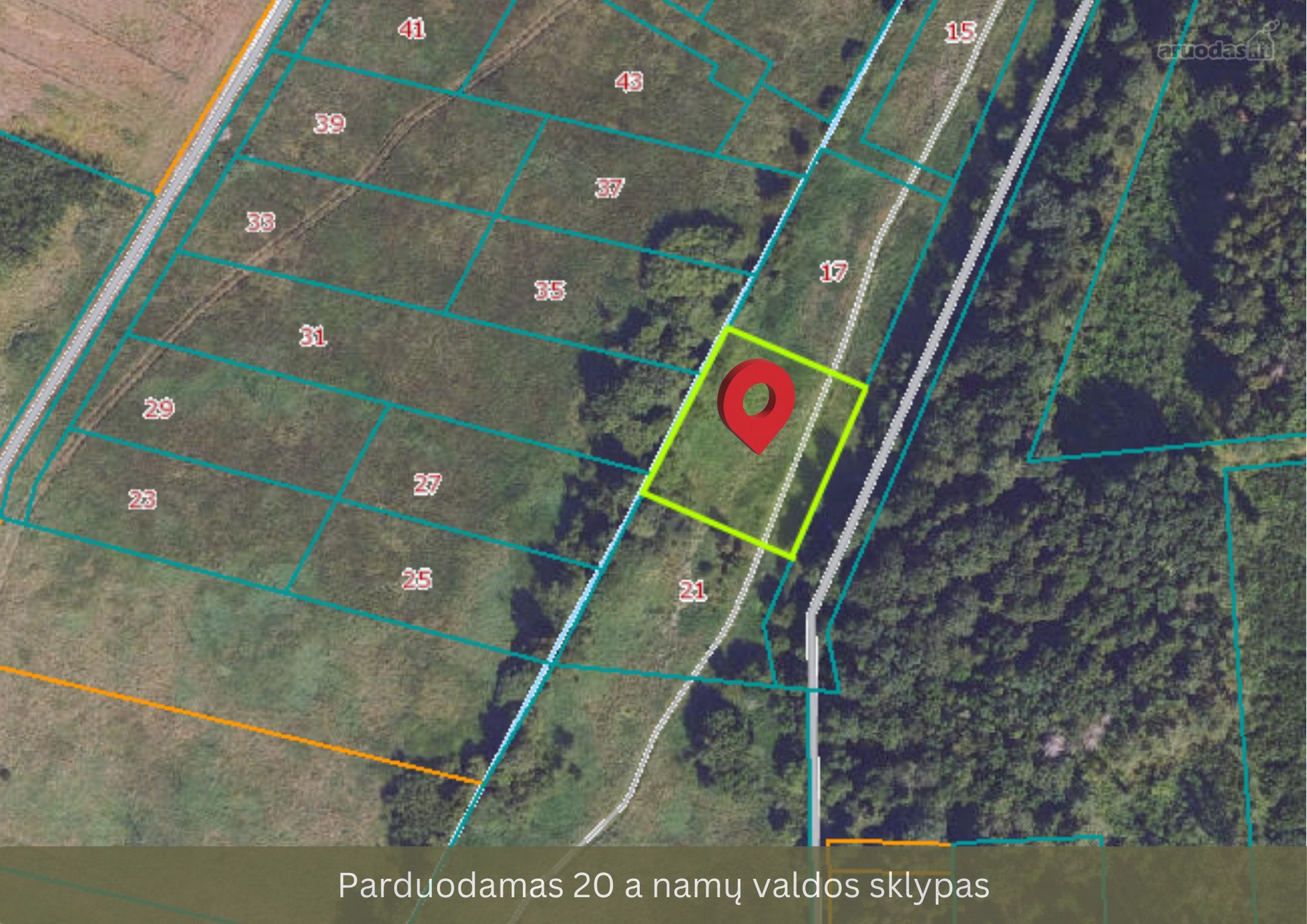 Vilniaus r. sav., Murlinės k., Paliepių miško