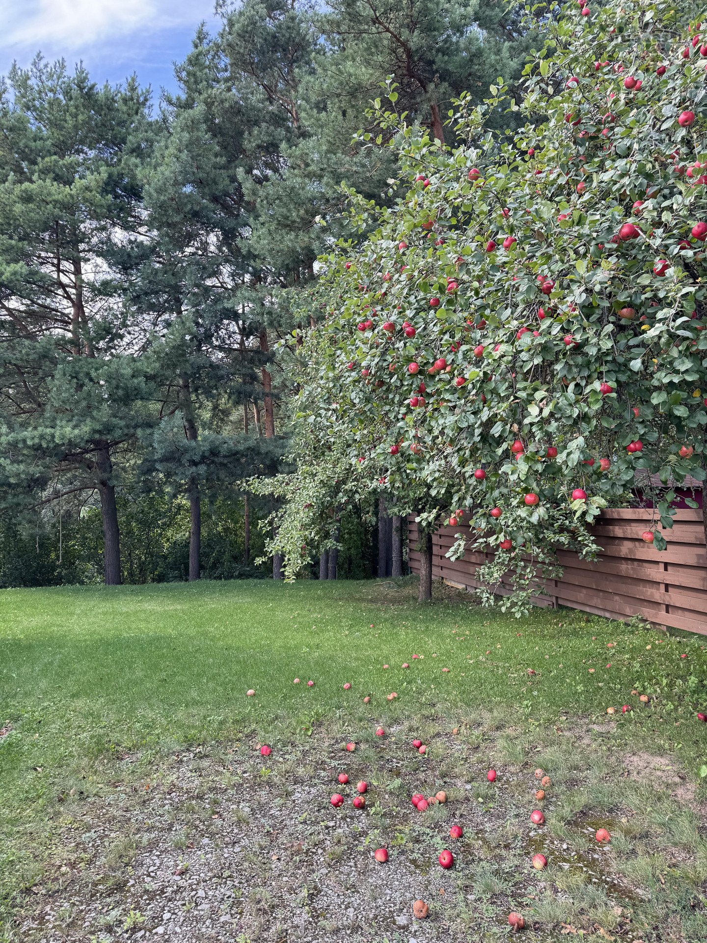 Parduodamas unikalus sklypas besiribojantis