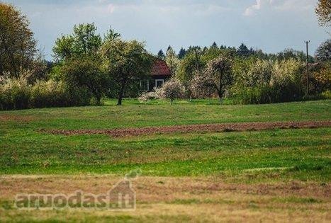 Parduodama Ūkininko Sodyba Kurkliškių Kaime,