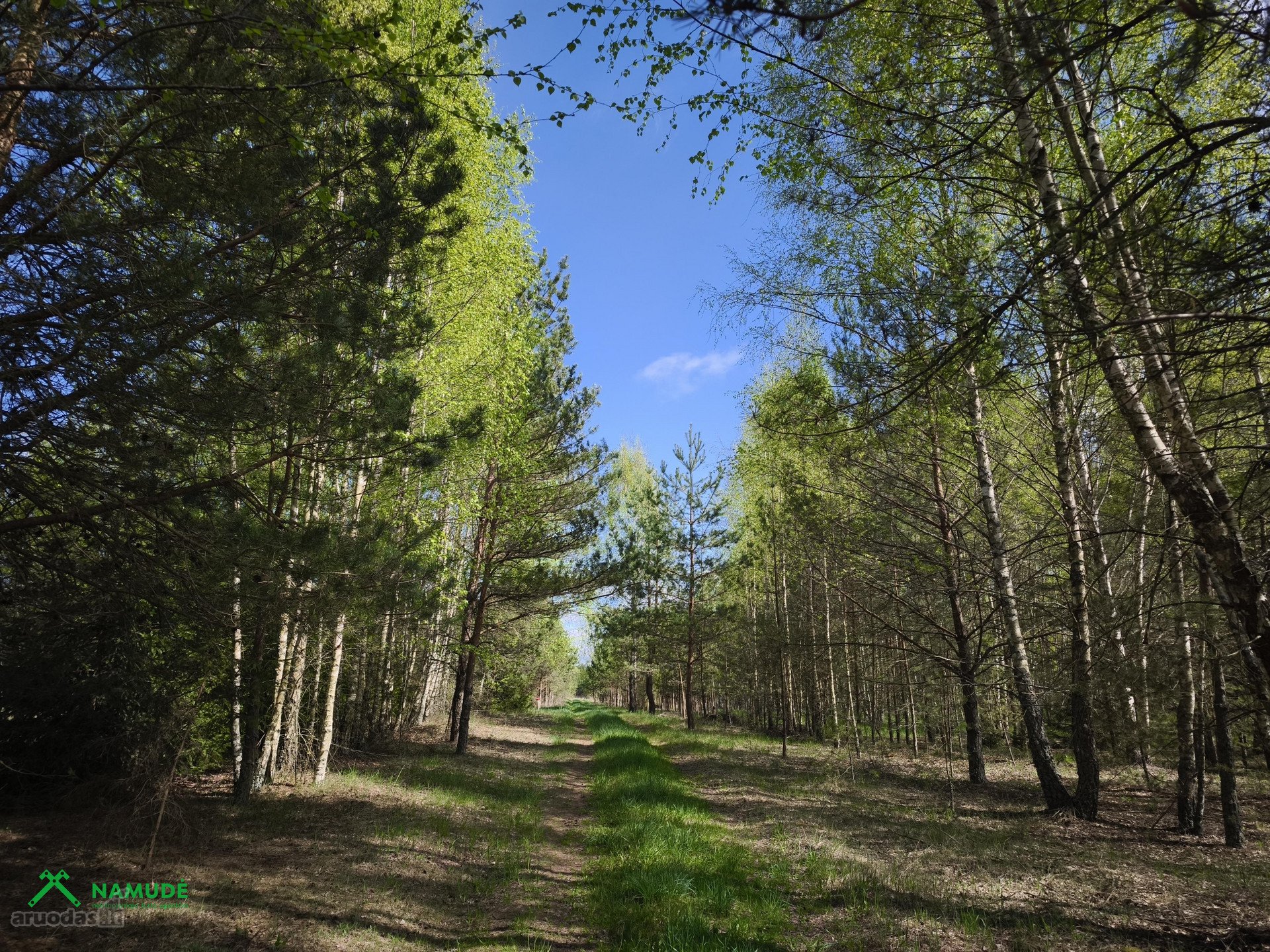 Parduodamas išpuoselėtas 4,43 ha bendro ploto