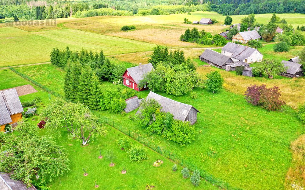 Tvarkinga, Jauki Sodyba Kalvų Ir Miškų
