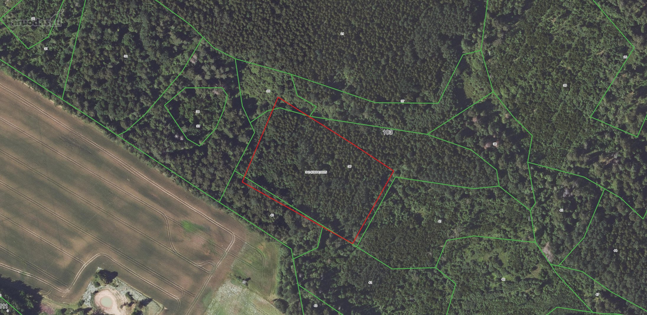 Parduodamas 1.4400 ha ploto pusamžis beržynas