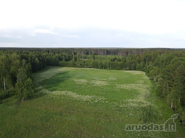 Parduodamas 2,36 ha žemės ūkio paskirties