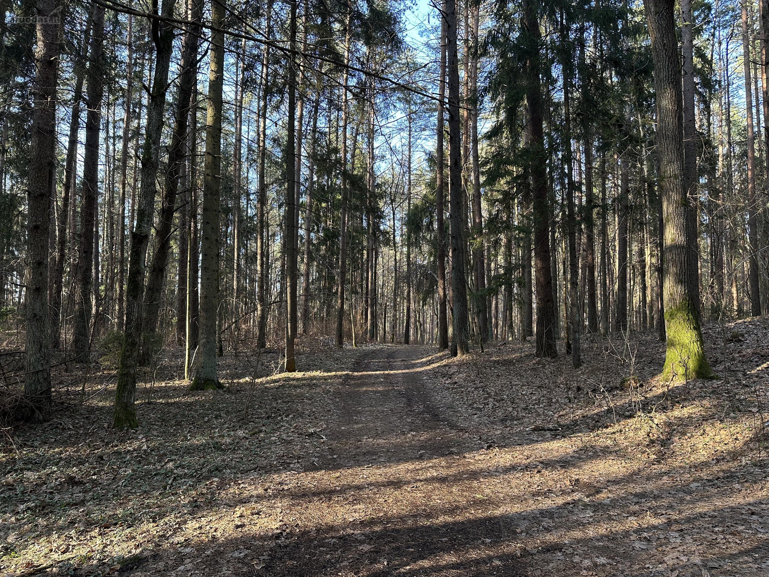 Išskirtinė Privati Rezidencinė Vieta Vilniuje 