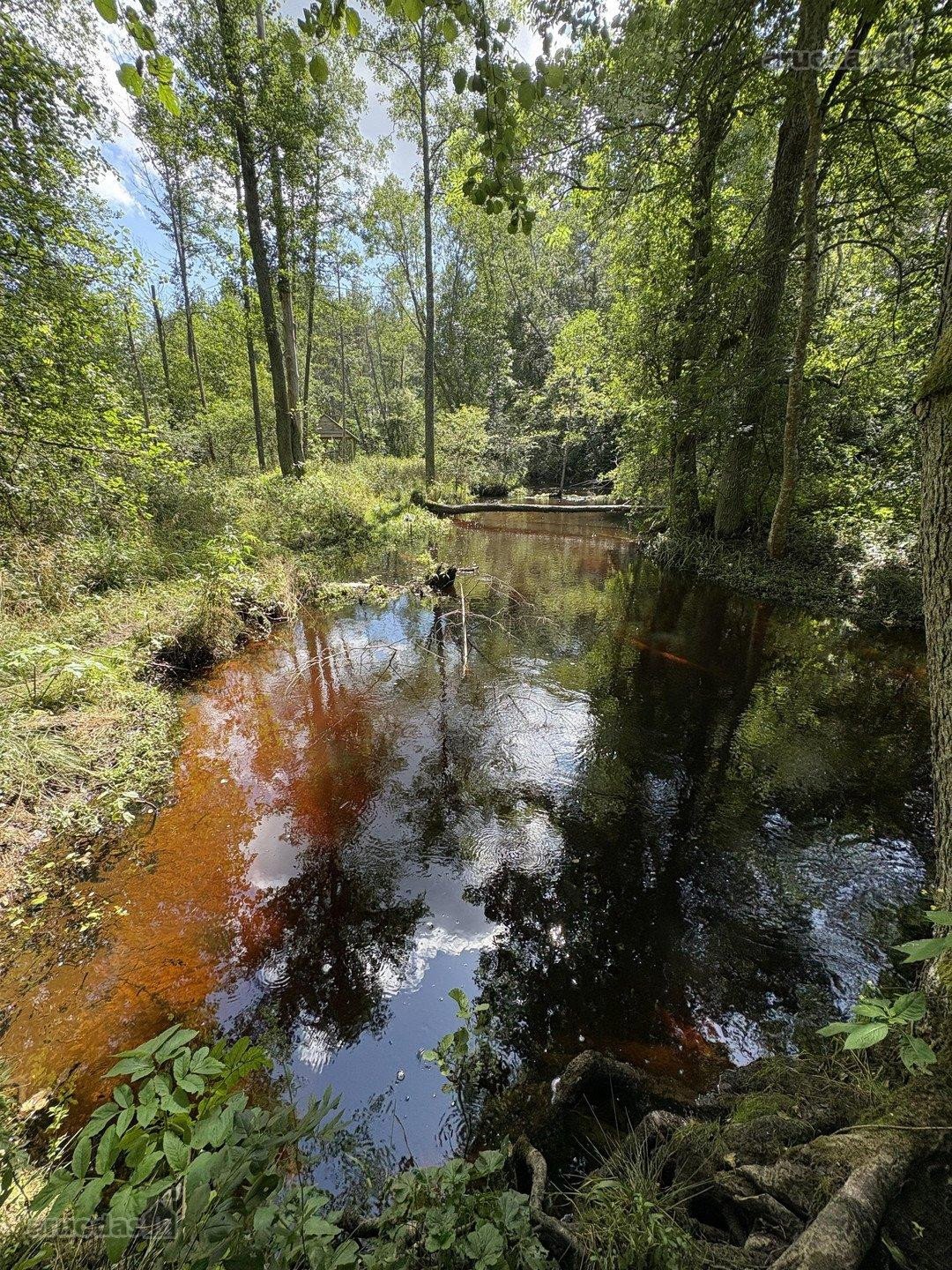 Parduodamas sklypas, kuris ribojasi su Meros