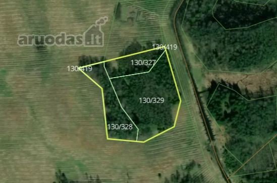 Parduodamas 1,04 ha miškas Rokiškio raj.