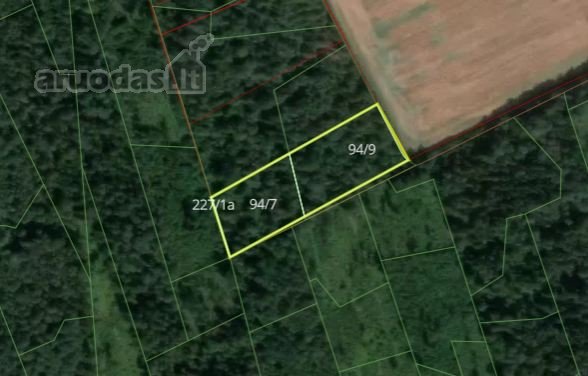 Parduodamas 1,2 ha miškas Kėdainių raj.