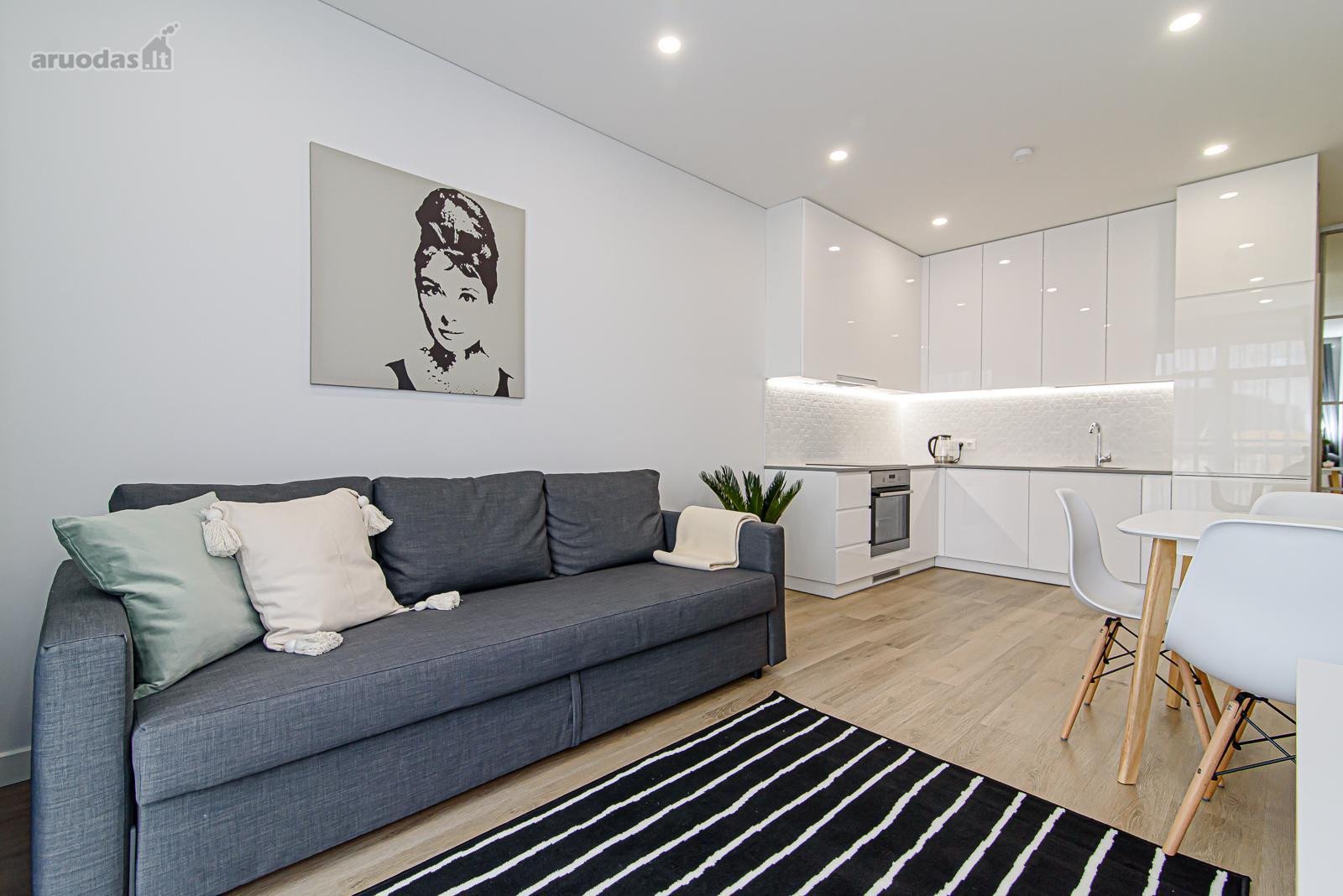 Išnuomojamas 2 kambarių ,42.54 m2 ,Šviesus Ir