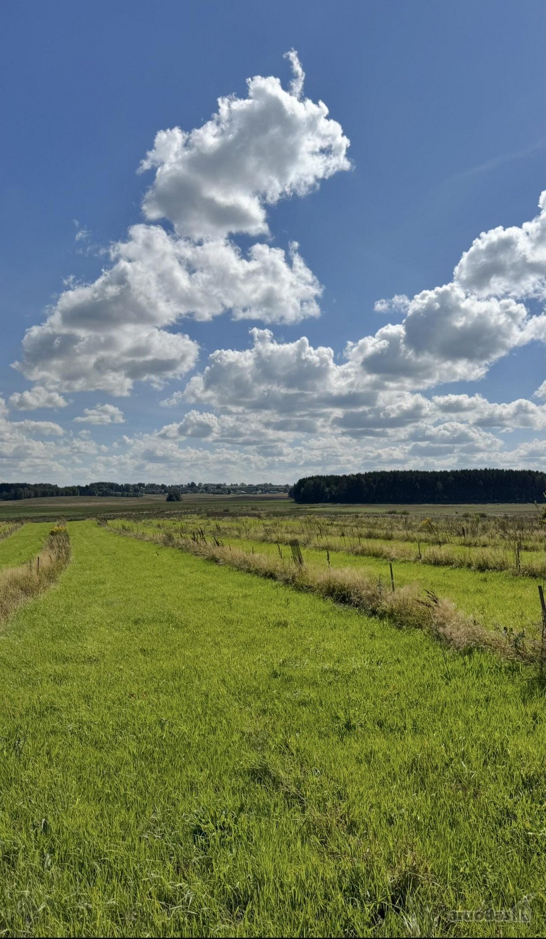 Parduodu 6.22 ha sklypo dalį iš 9,57 ha, su