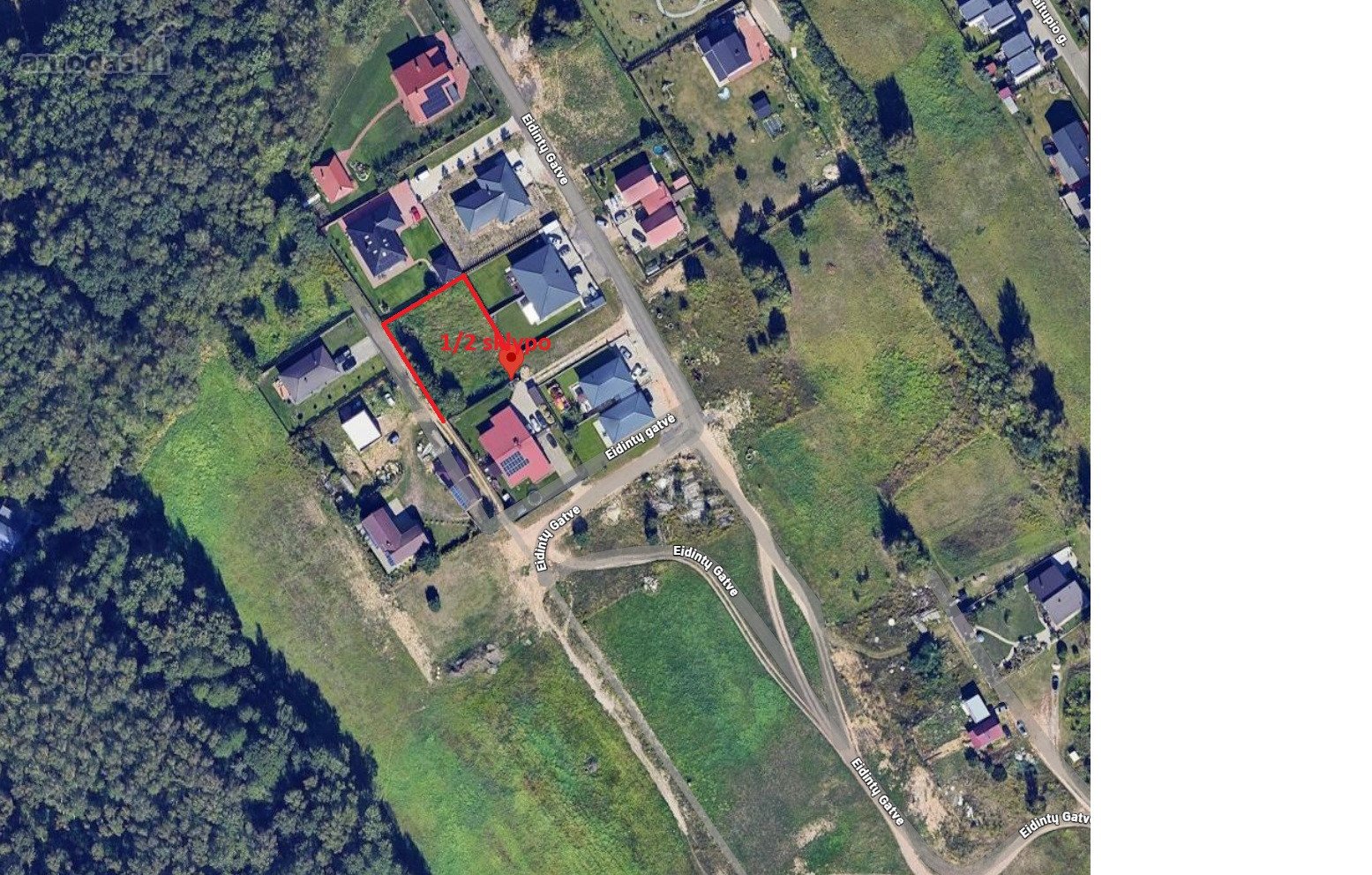 Antstolė Rima Grienė per evarž