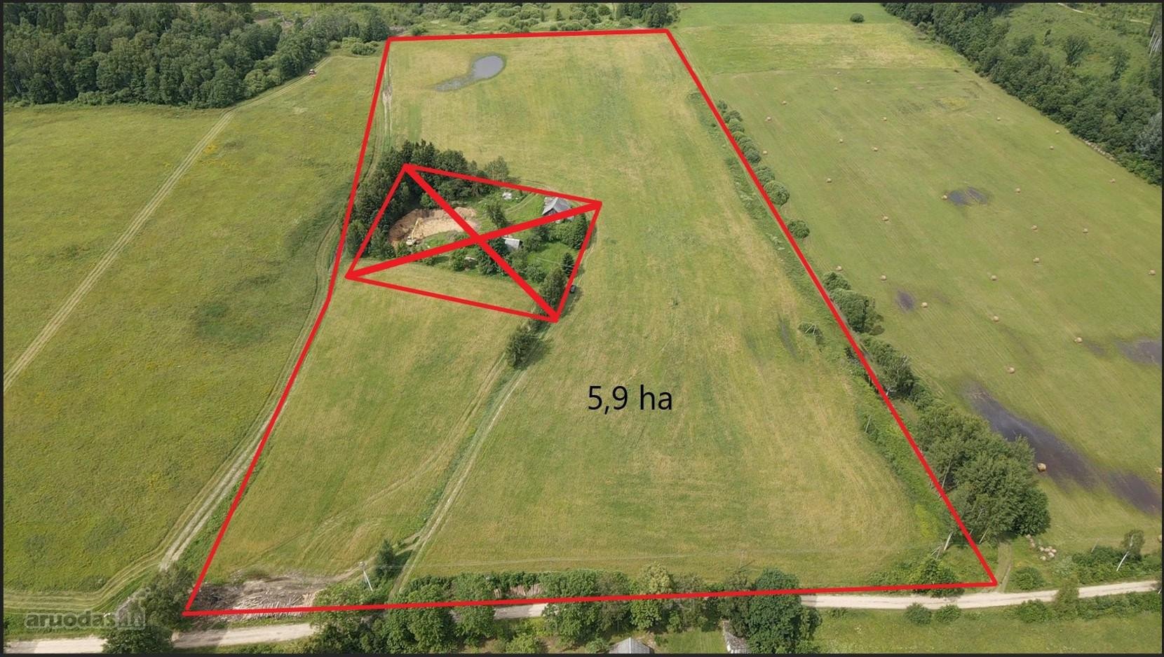 Parduodamas Dirbamas 5,9 ha žemės sklypas