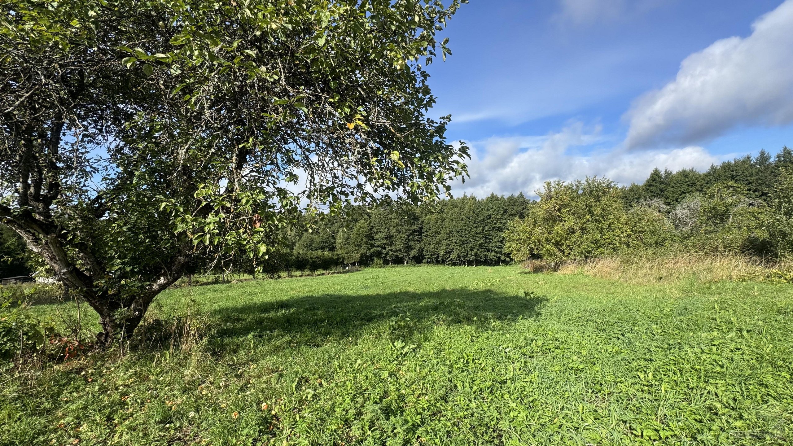 Parduodamas 26,29a sklypas Kenos km.,rukainių