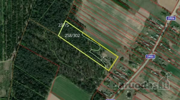 Parduodamas 2,24 ha miškas Šalčininkų raj.