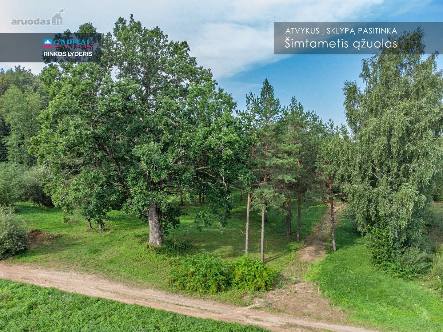 Nemenčinės miškų pušynų pašonėje, vos 3